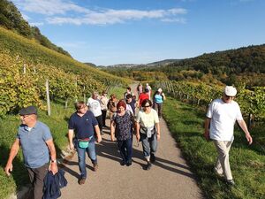 Unsere Wandergruppe am Korber Kopf in den Weinbergen